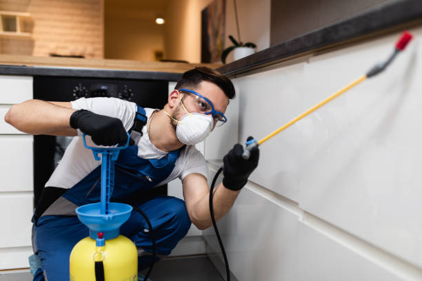 Best Best Pest Control Near Me  in Diamond Ridge, AK