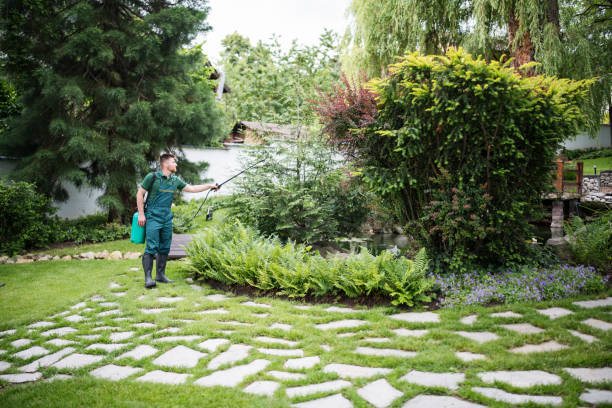 Best Pest Control Near Me in Diamond Ridge, AK