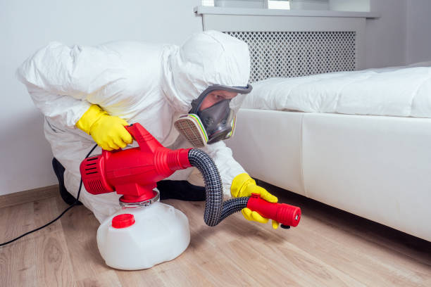 Best Pest Inspection Near Me  in Diamond Ridge, AK