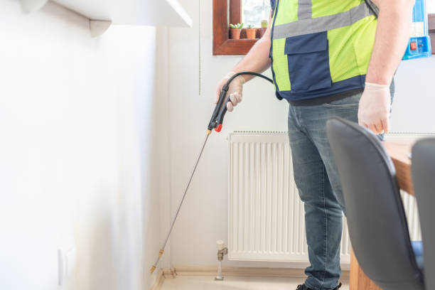 Best Affordable Pest Control Services  in Diamond Ridge, AK