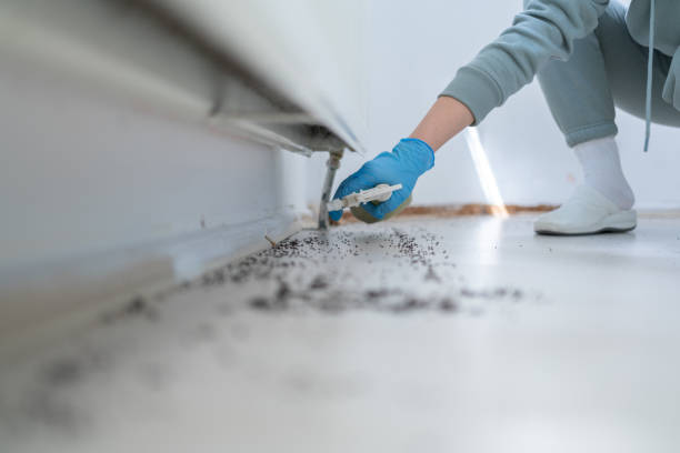 Best Commercial Pest Control Services  in Diamond Ridge, AK