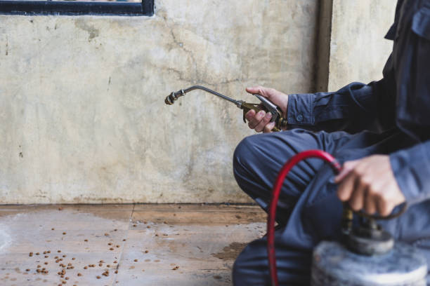 Best Rat Extermination Near Me  in Diamond Ridge, AK